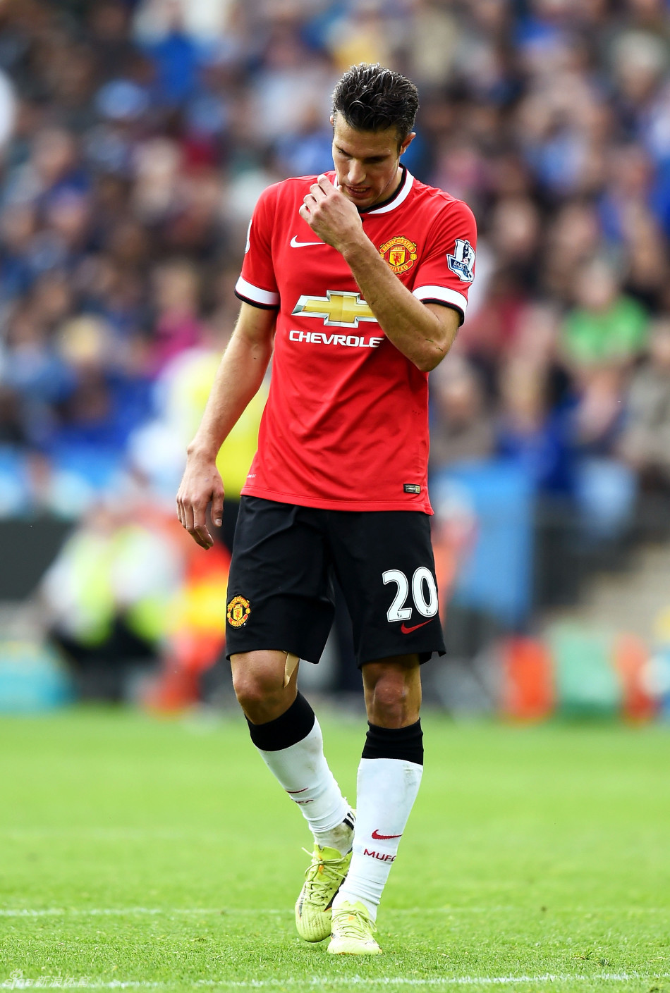 预制两到三 预制两到三